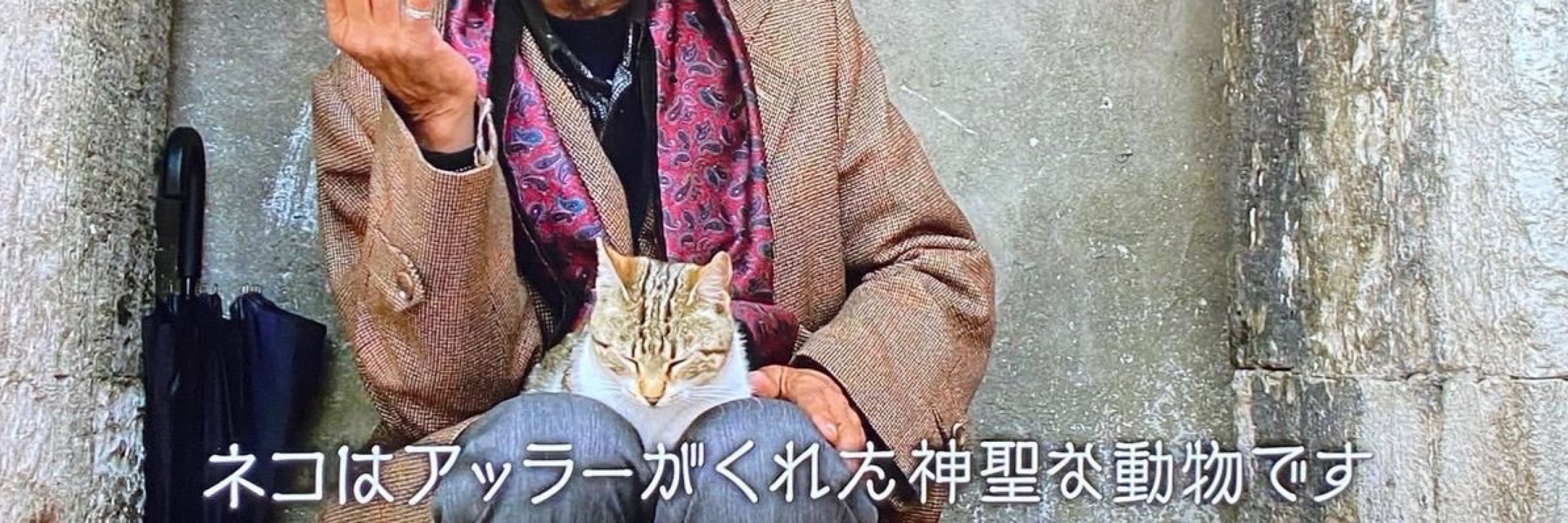 ツナ