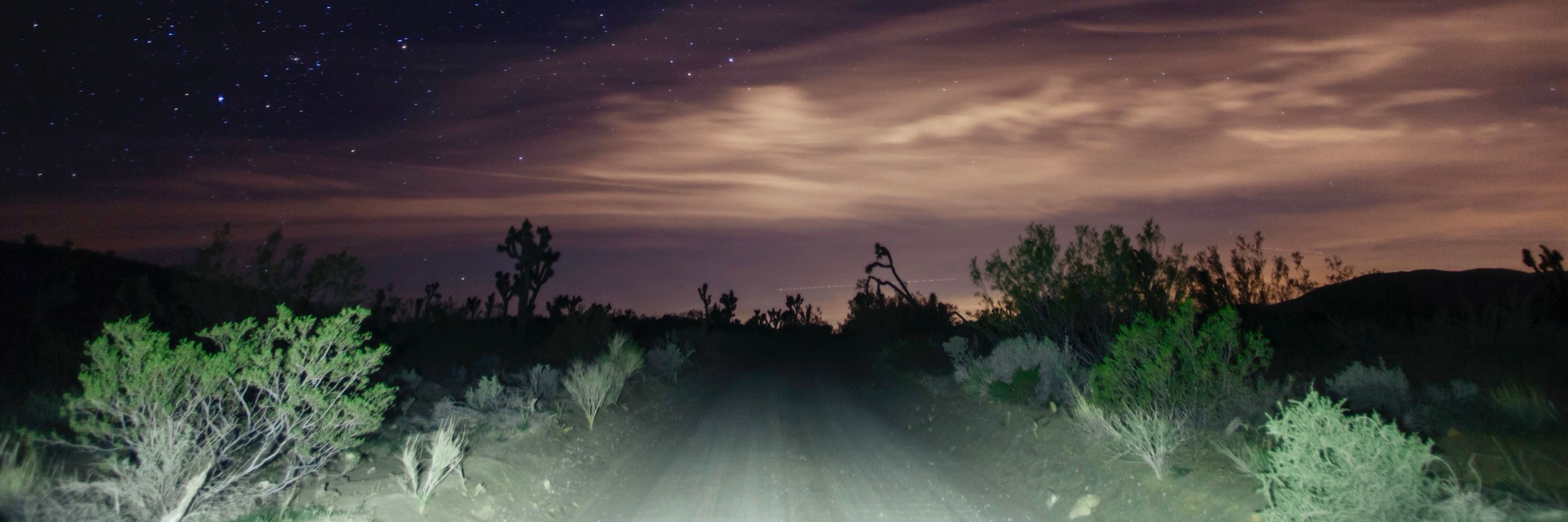 Matt Lief Anderson