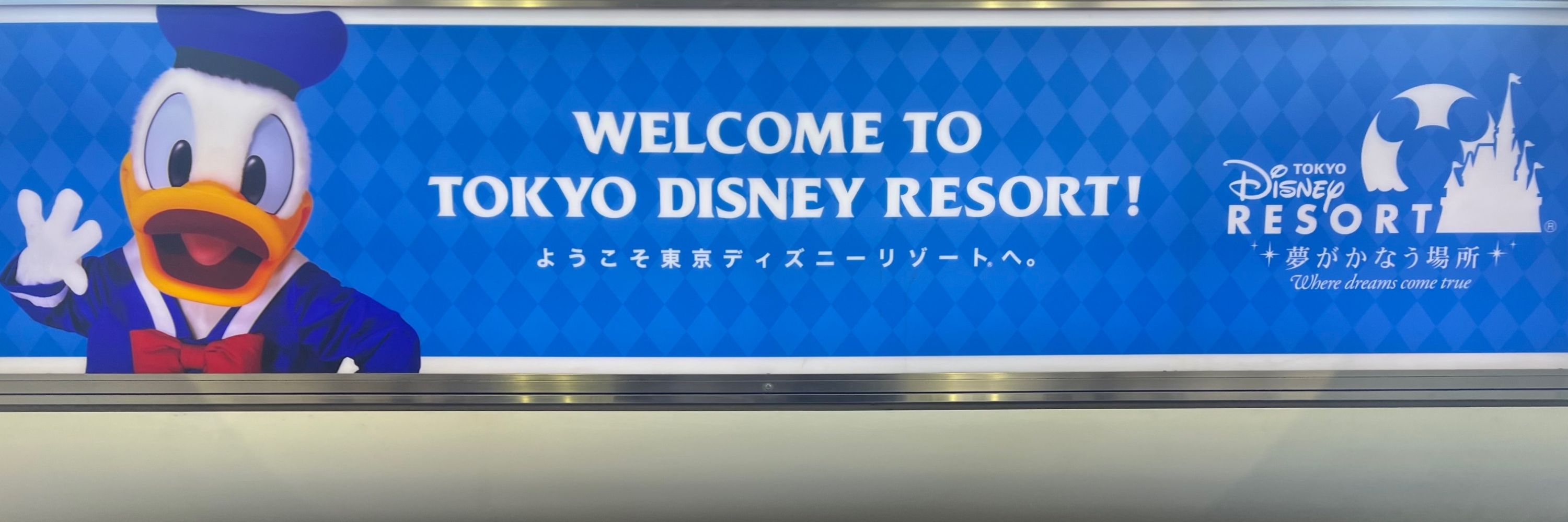 みっきー