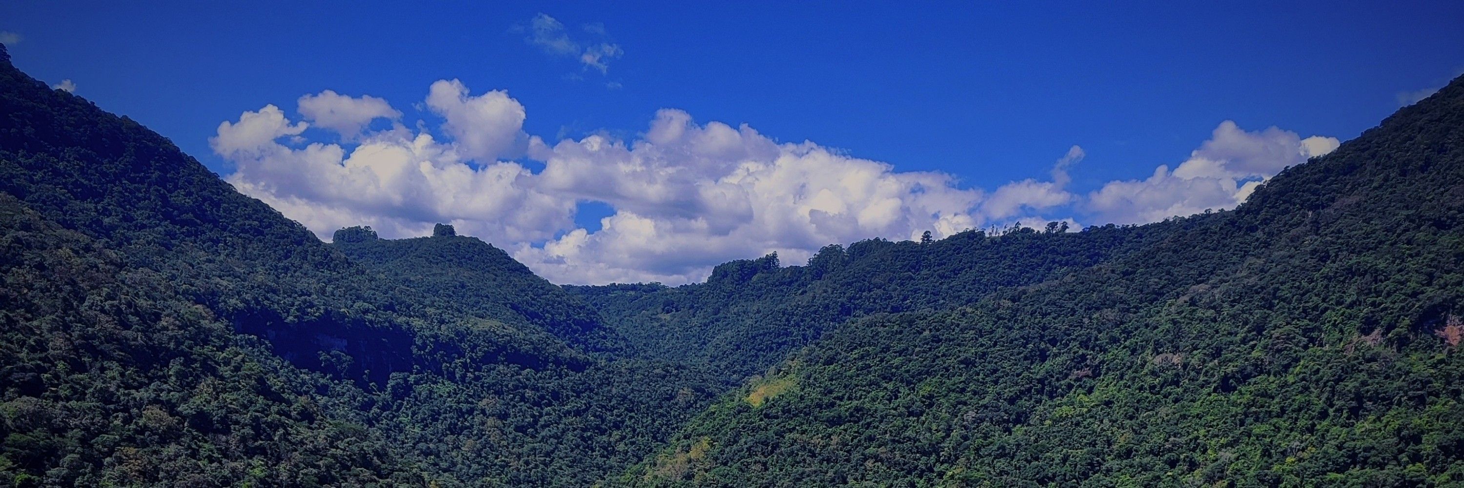 Maruyama Derick