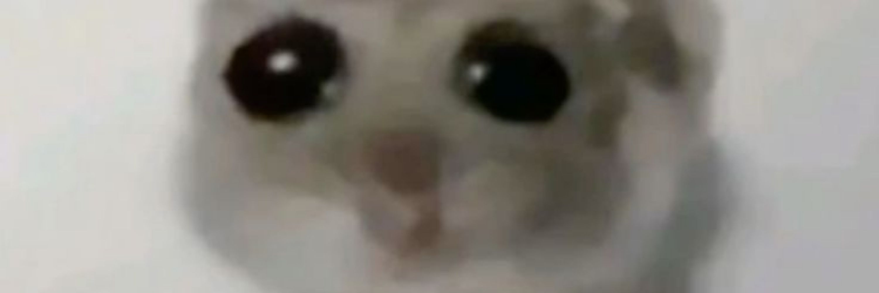 Catatau