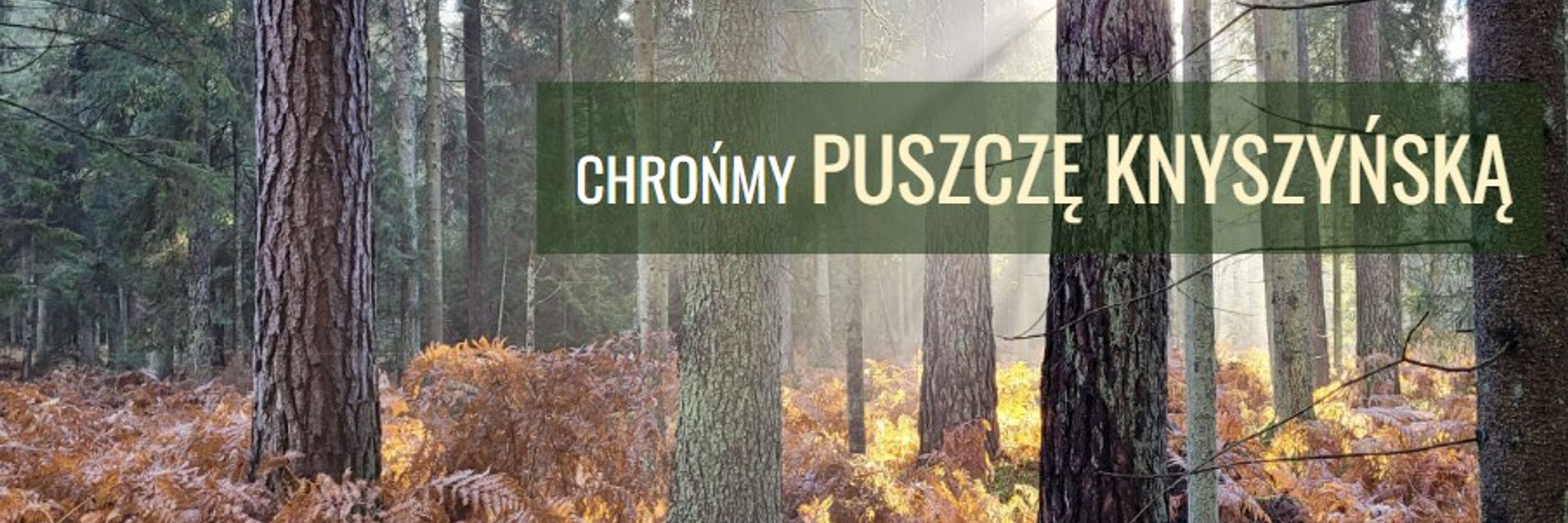 Chrońmy PUSZCZĘ KNYSZYŃSKĄ