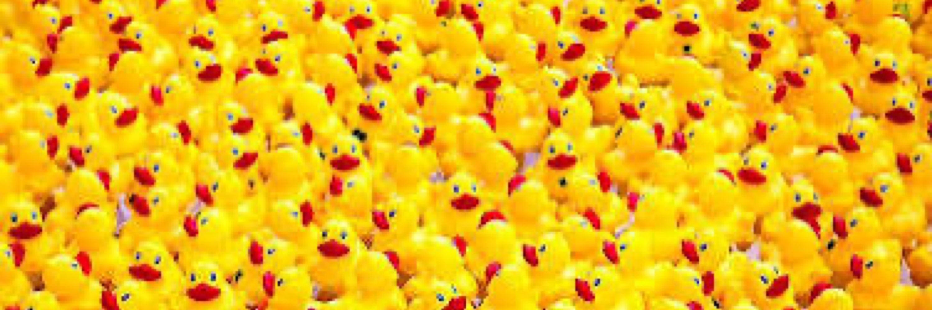 ShinyDuck