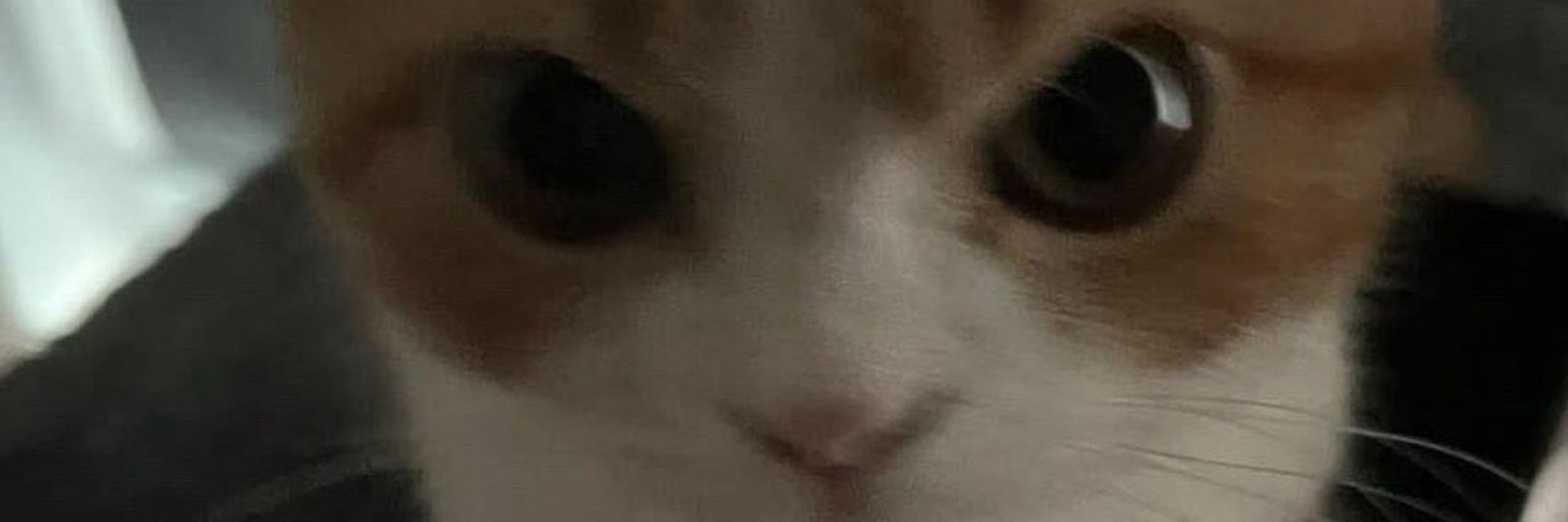 용사