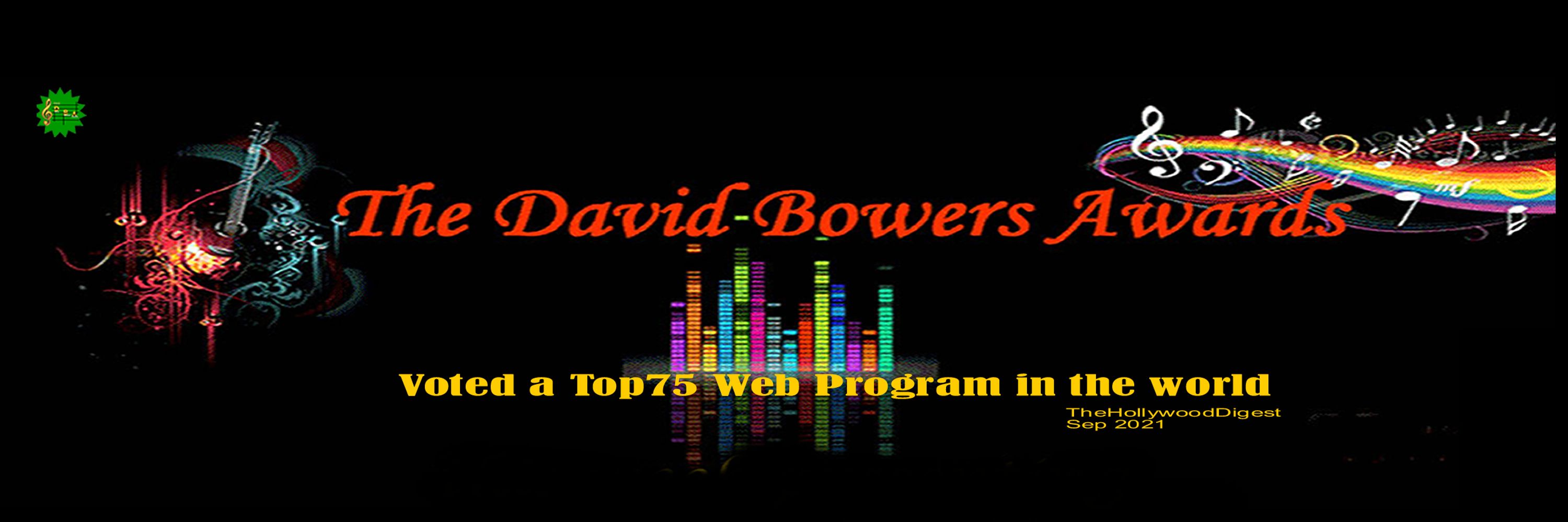 TheDavidBowersAwards
