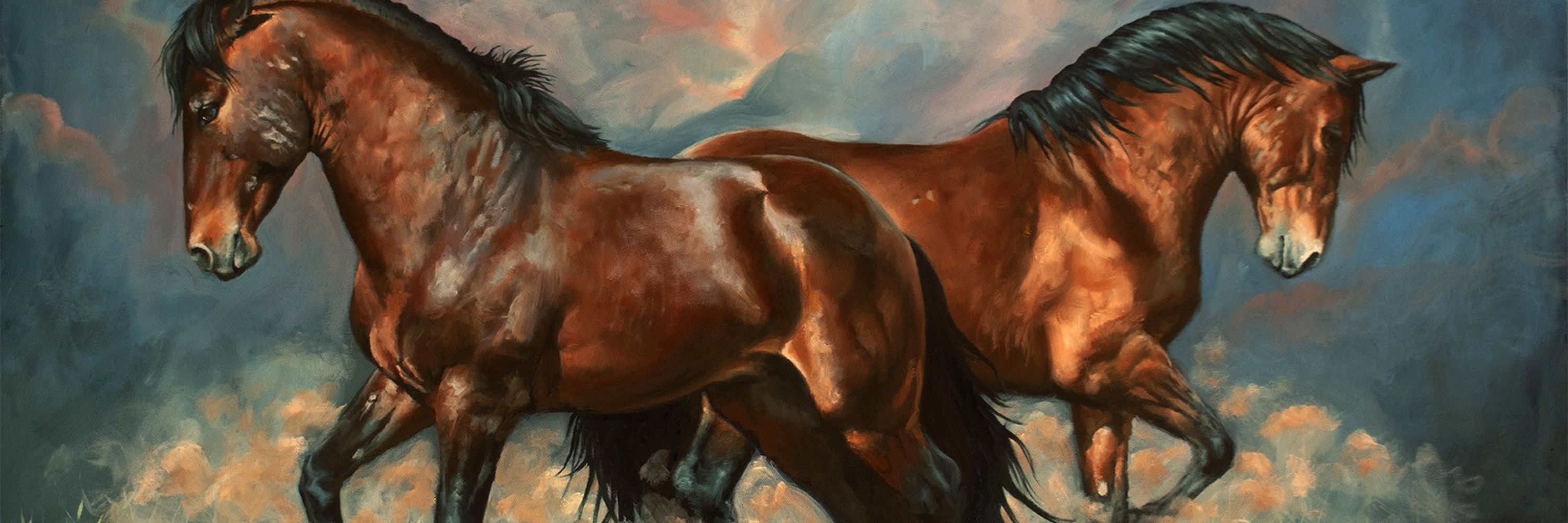 Canvas Jockey