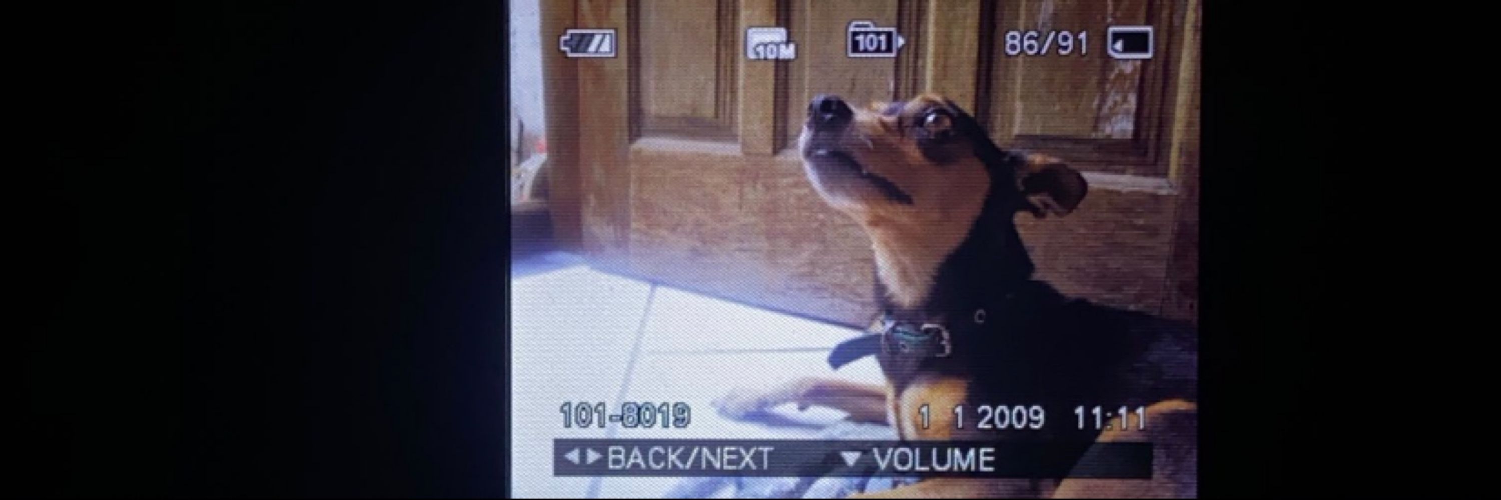 2n