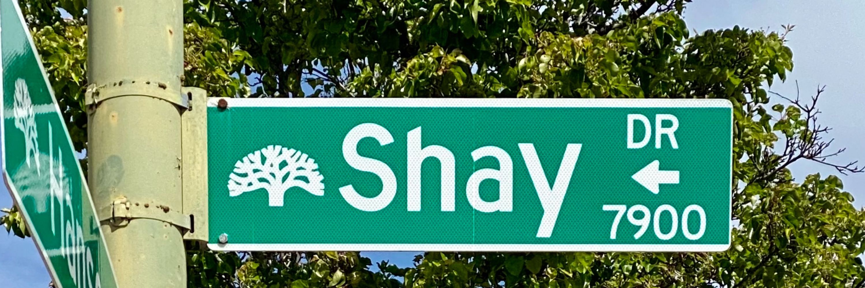 Shay