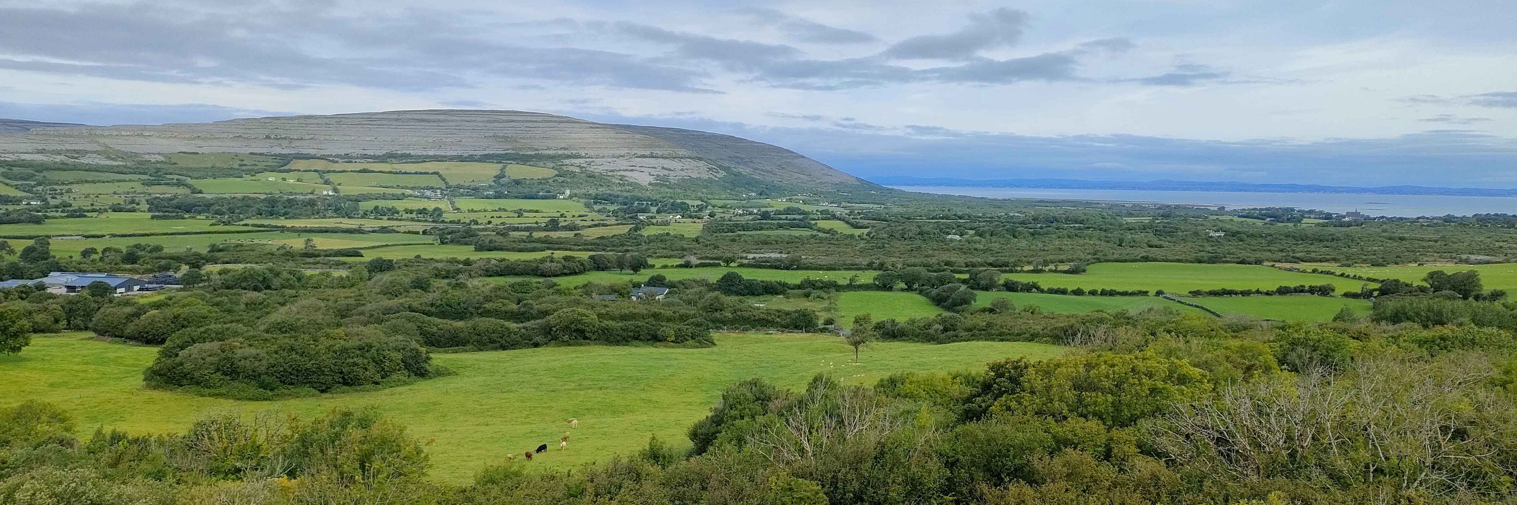 Irish Environmental Network
