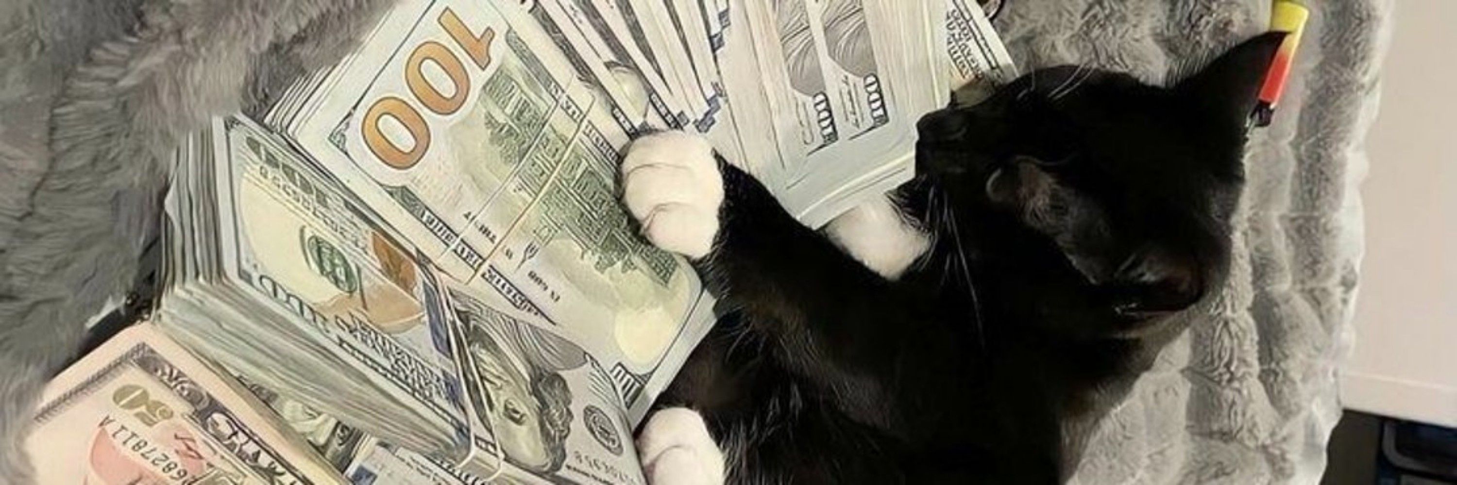 loarzin🐈‍⬛