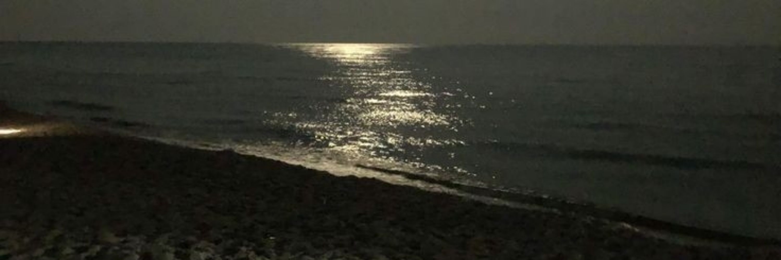Mymoon