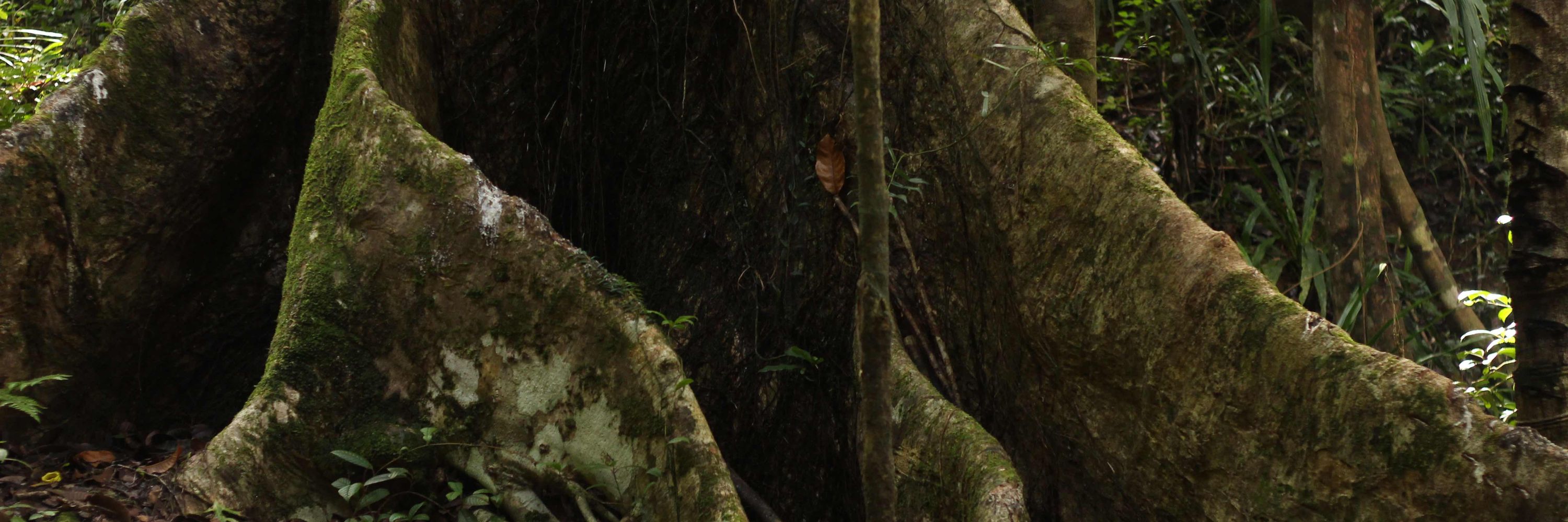 Wyss Academy for Nature