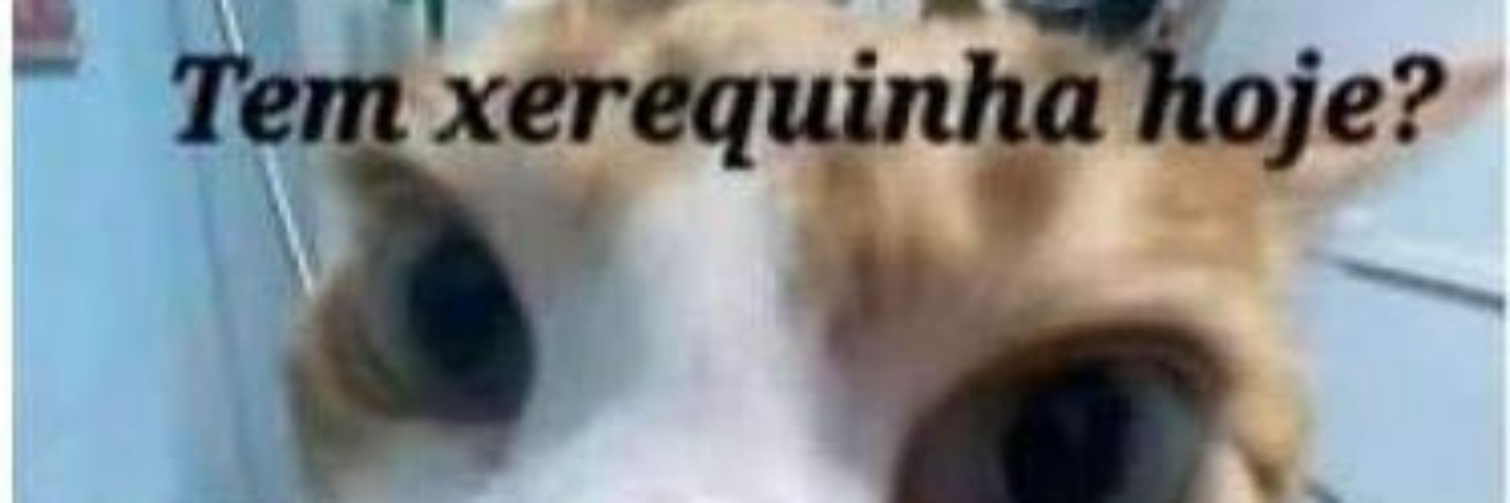 Zeca paugordinho