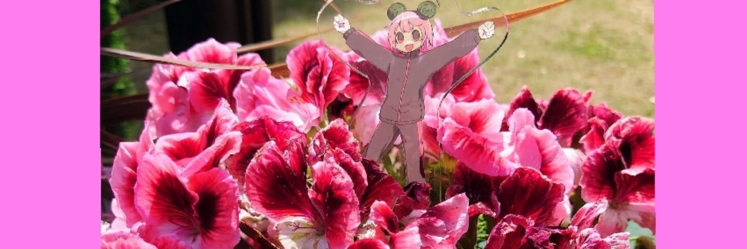 ばんちょうっち