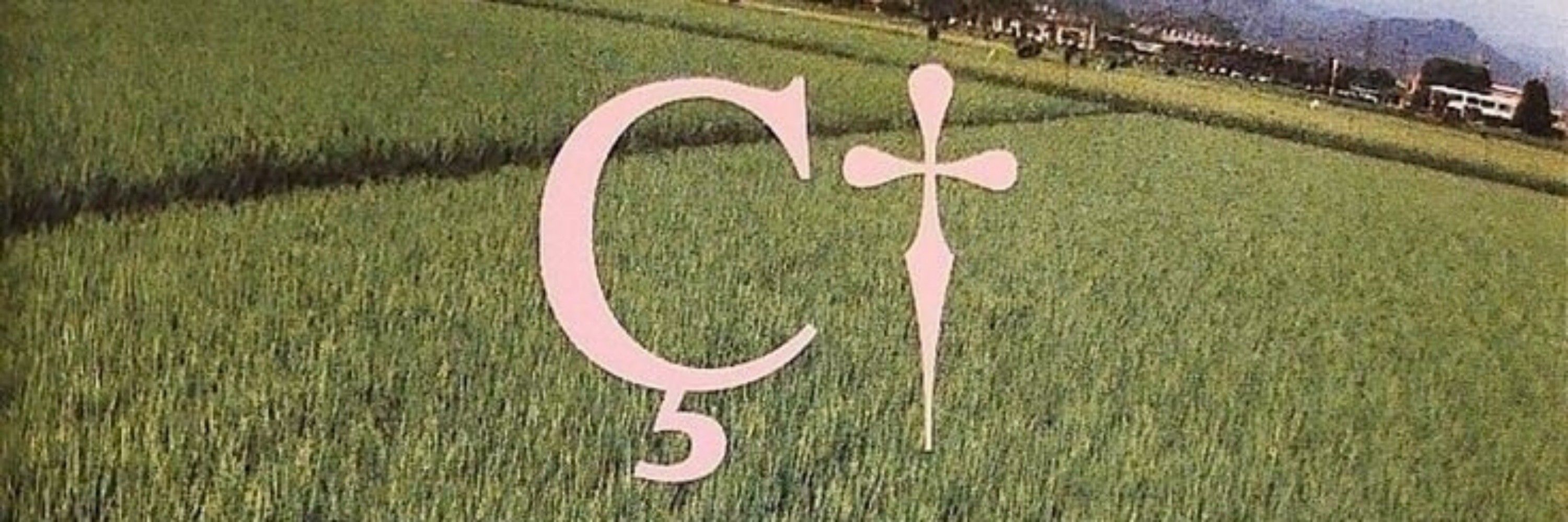 yvesntual