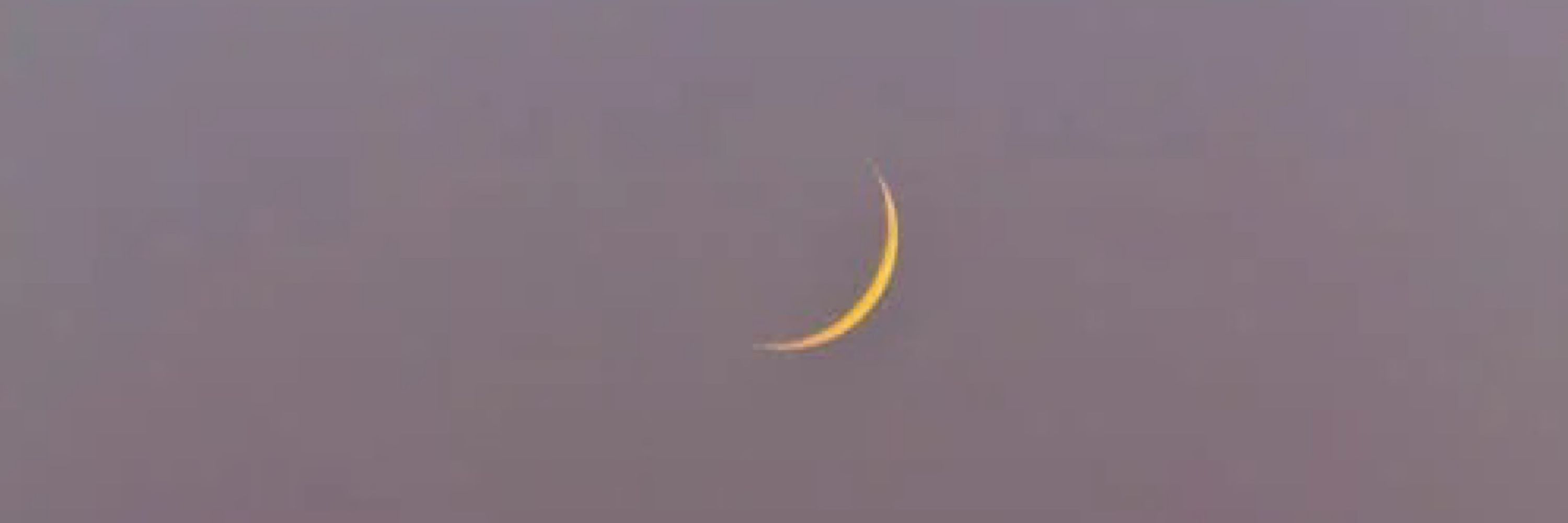 💖 Taonaraku 🌙 (TEAM EXE)