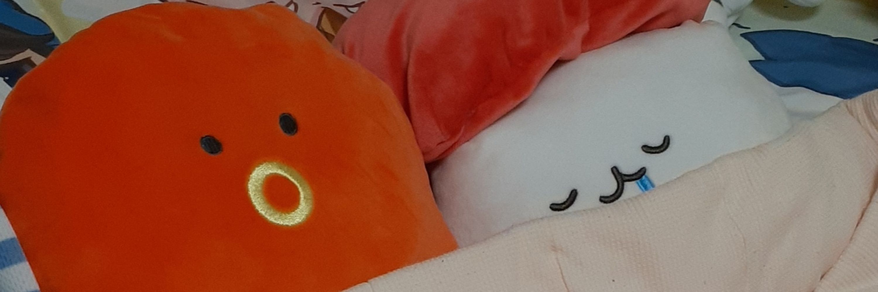 もじこ🐯