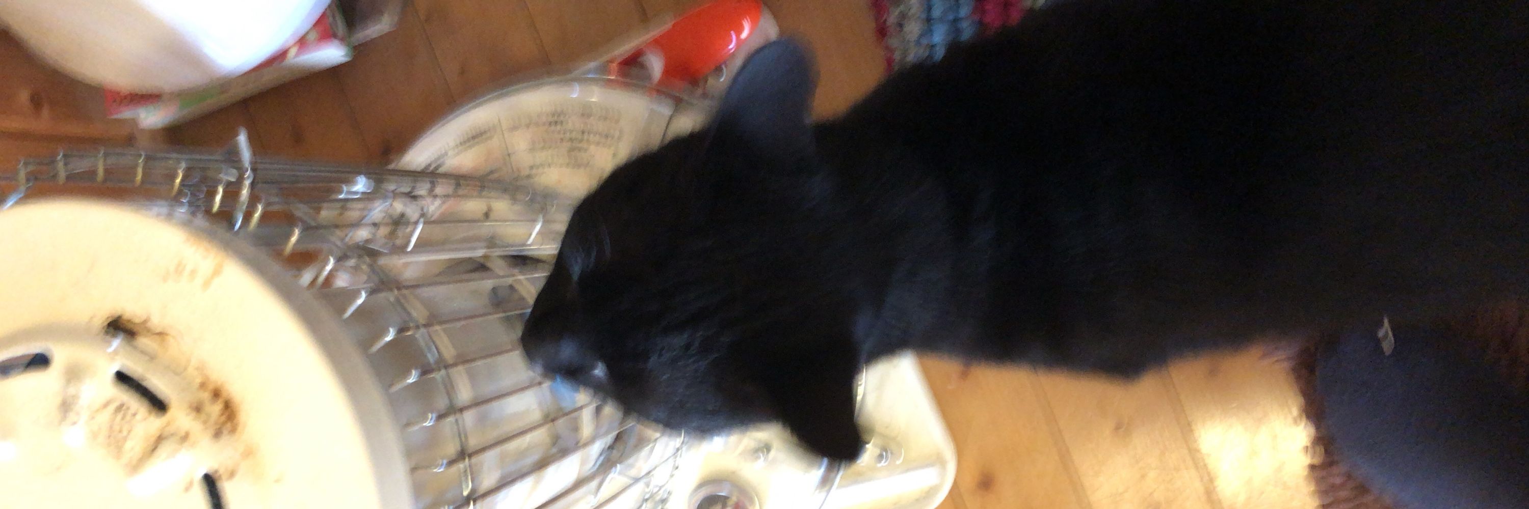 またすけ