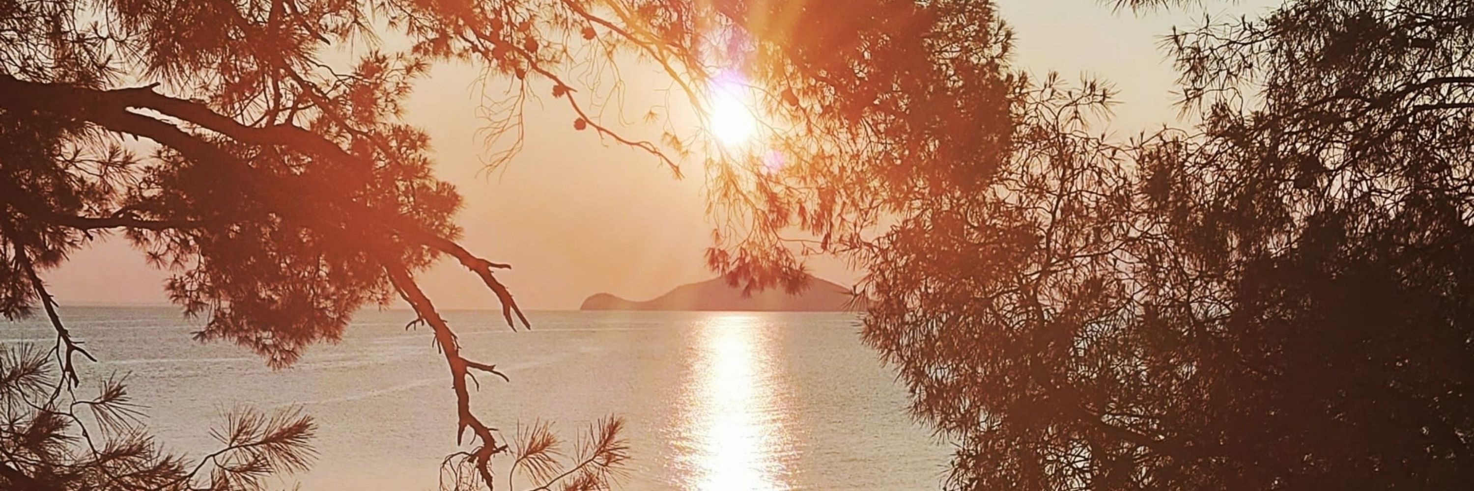 Vasssiliki