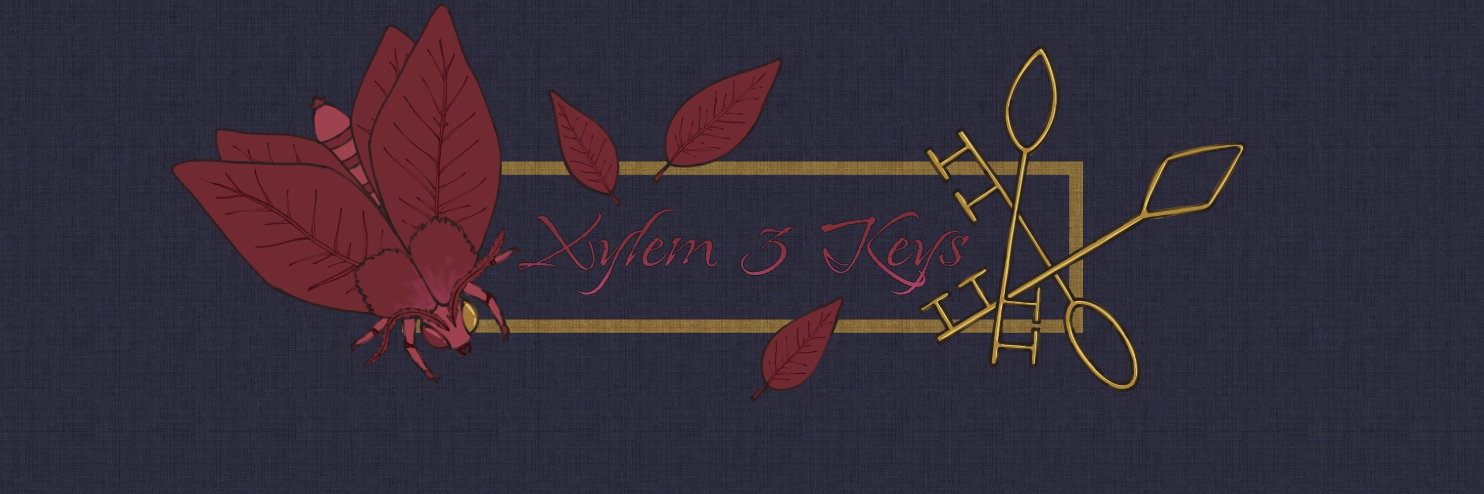 Xylem 3 Keys | COMMs OPEN 0/5