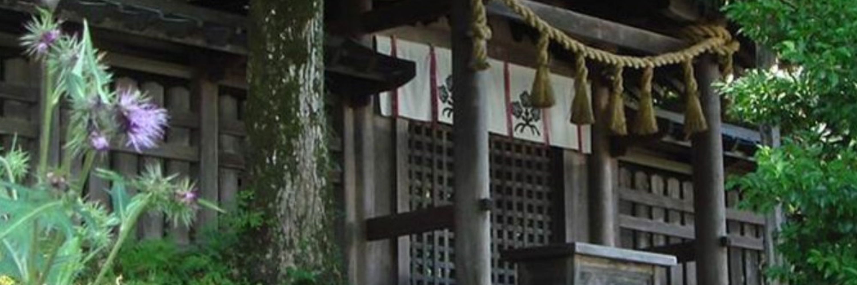 矢崎涼