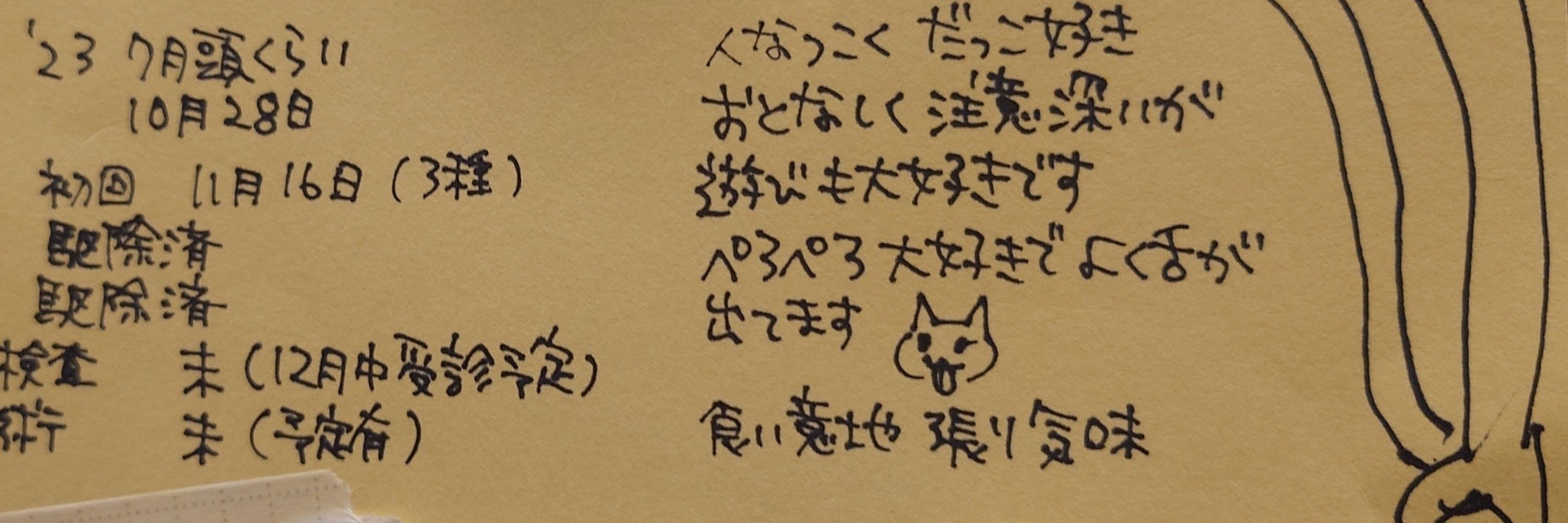 ジジ