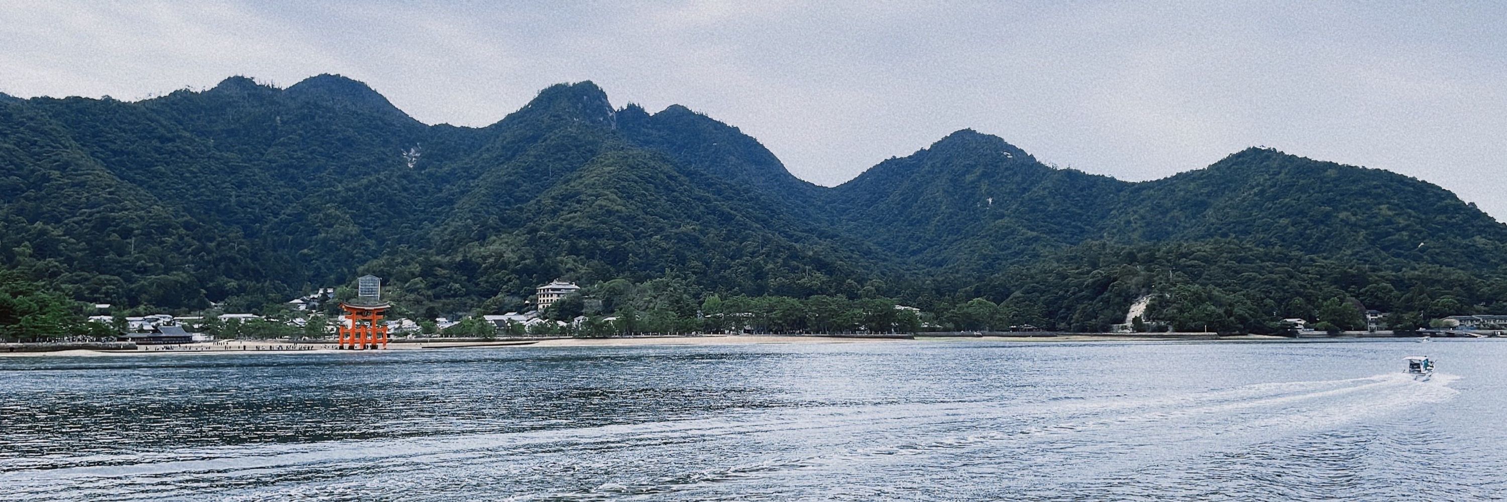 もしこ