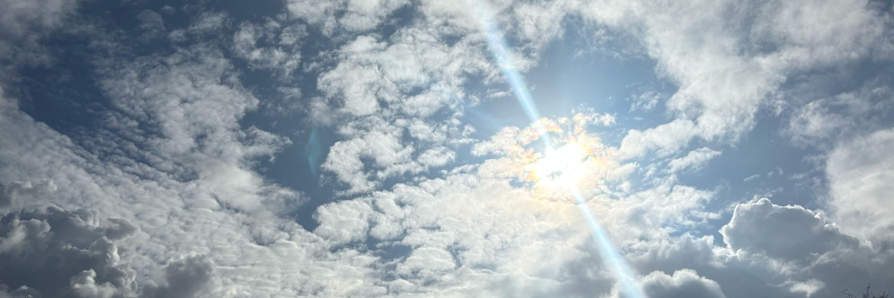 Capriciousclouds