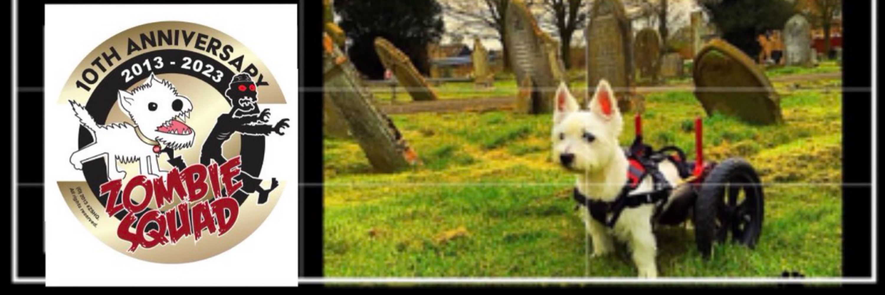 BraveWinston (and Billy & Beatrix too)