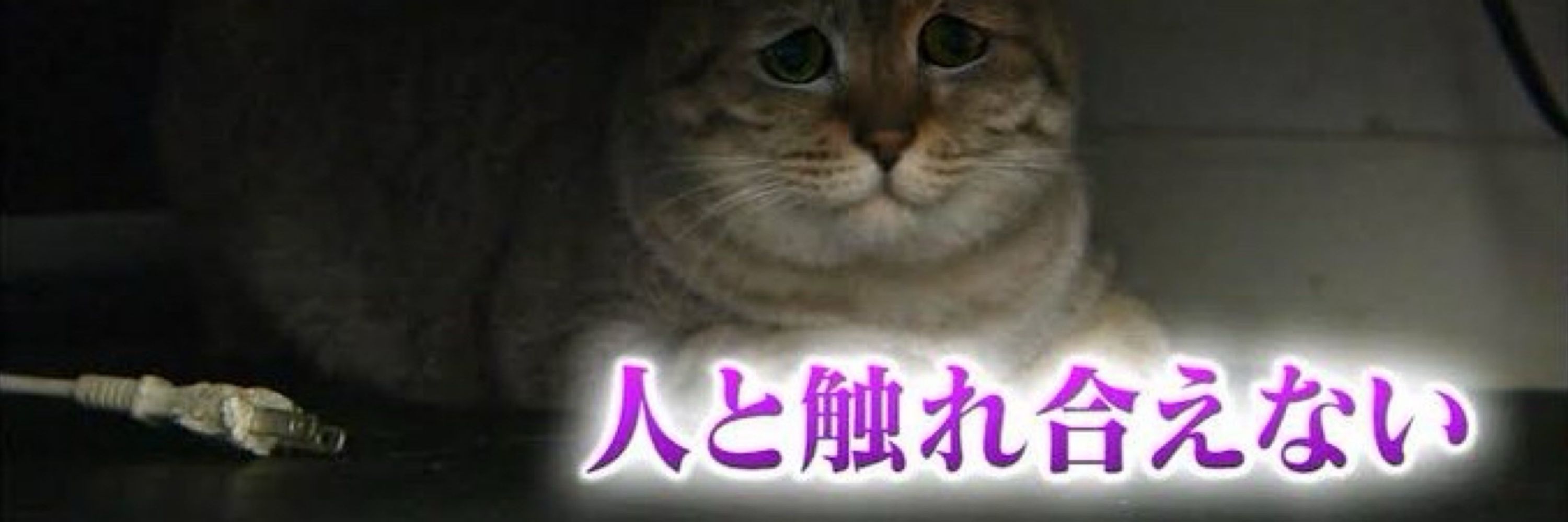 ちらしずし