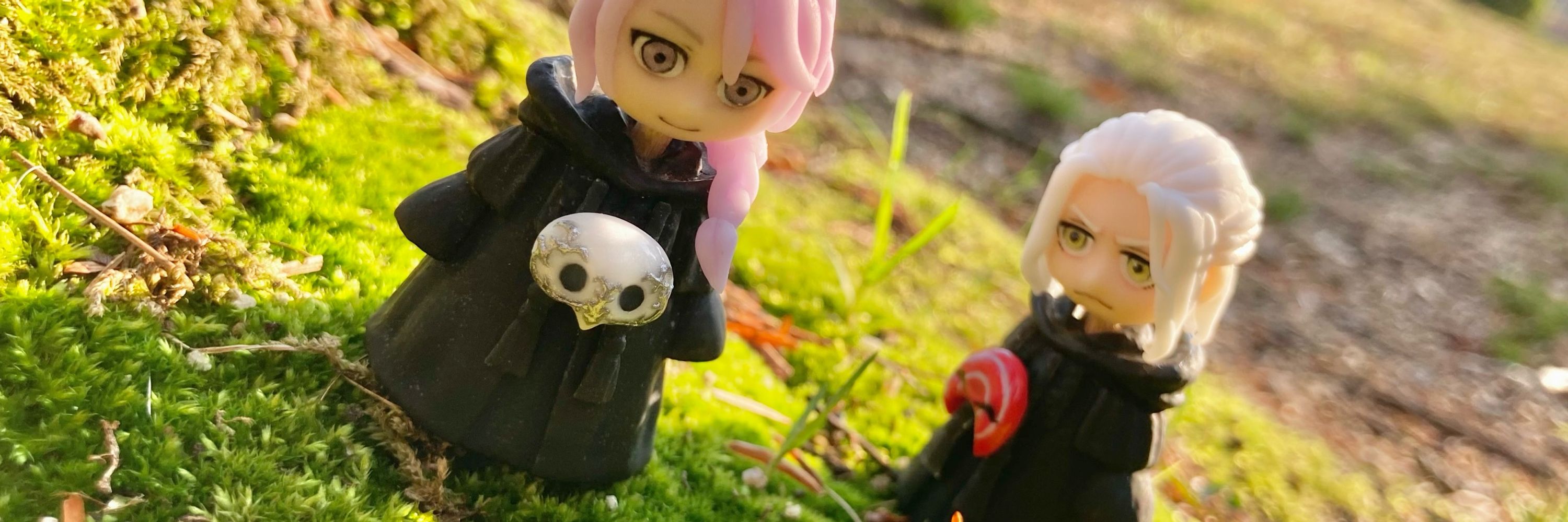 きささげ