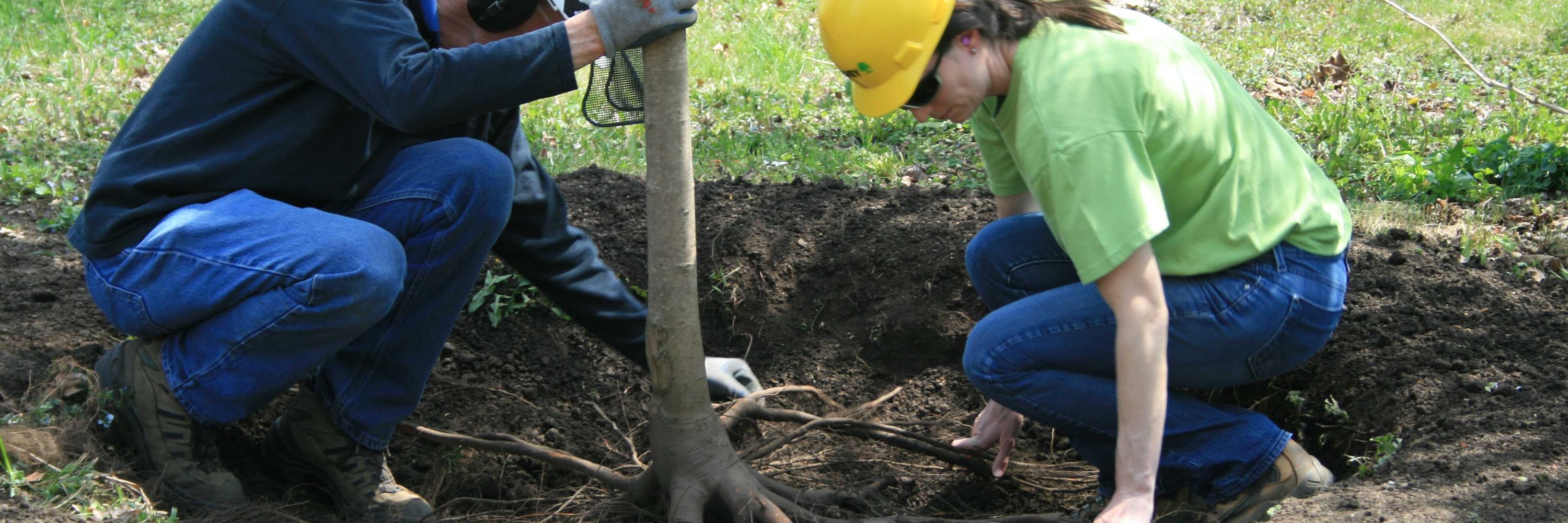 Tree Research and Education Endowment Fund