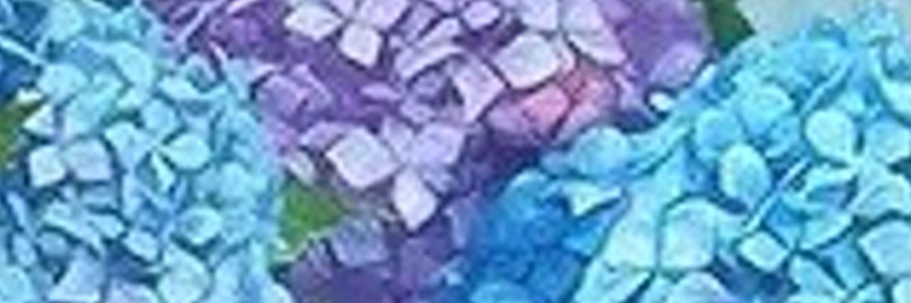 Kii