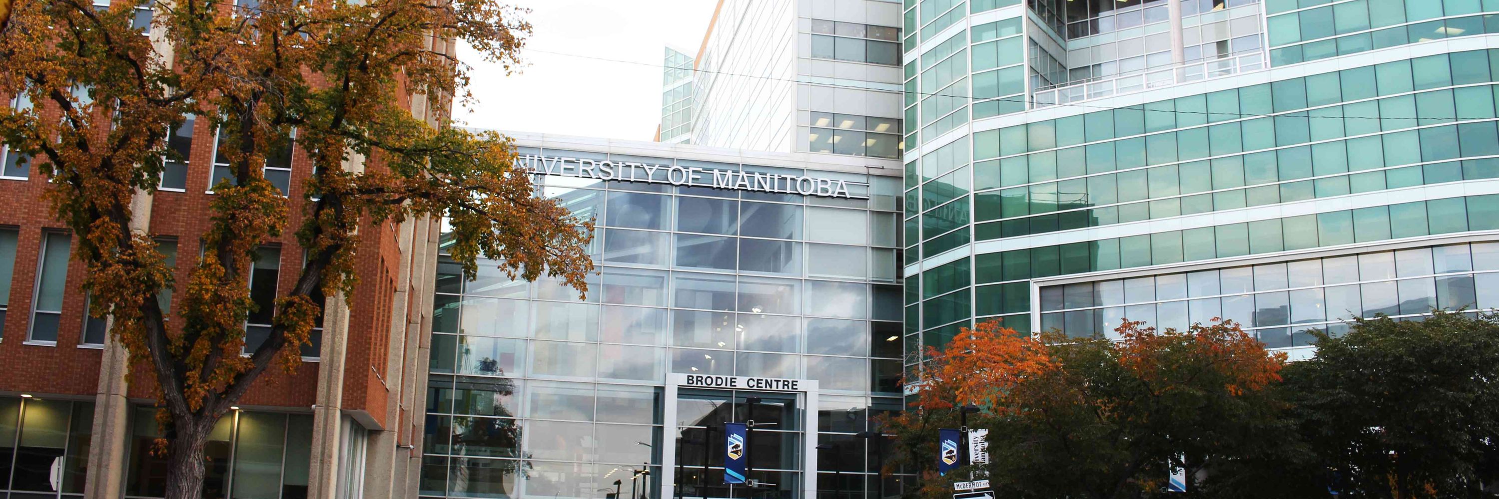 U of M Rady Faculty