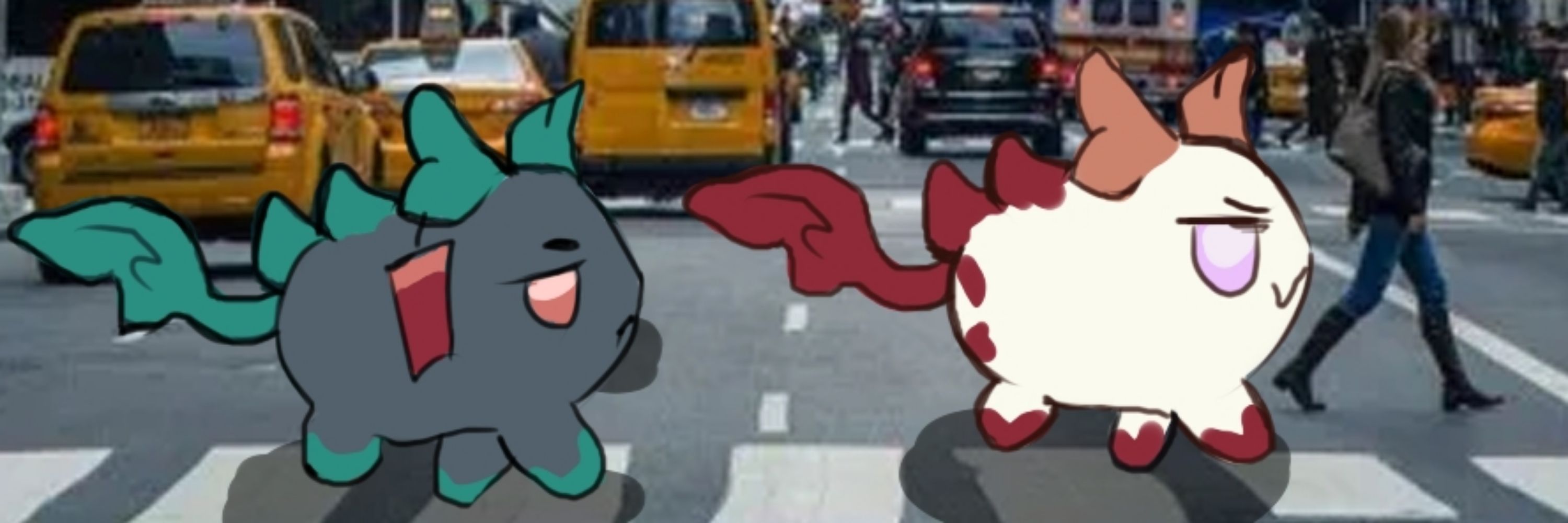 Foku
