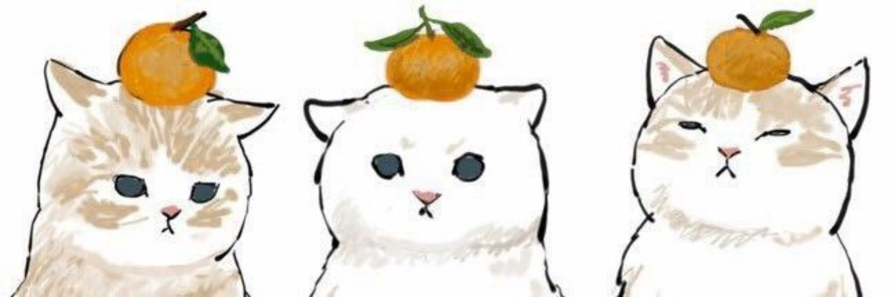 Kimerryl