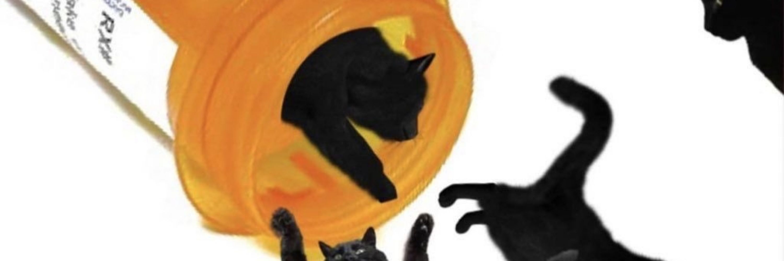 Felis