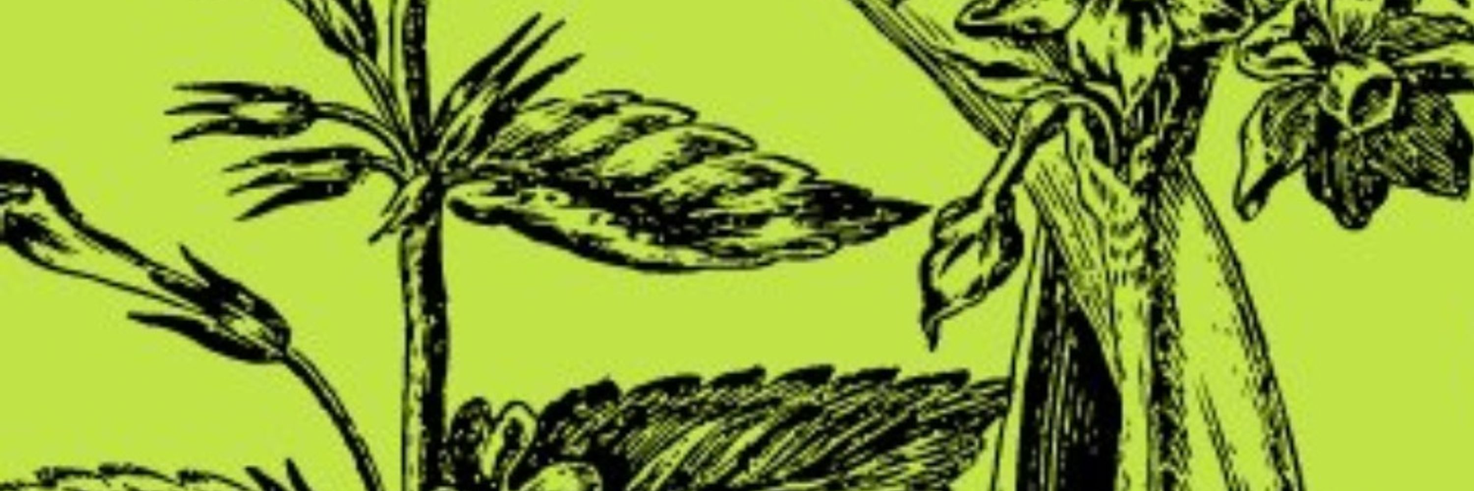 HornsandRattlesPress