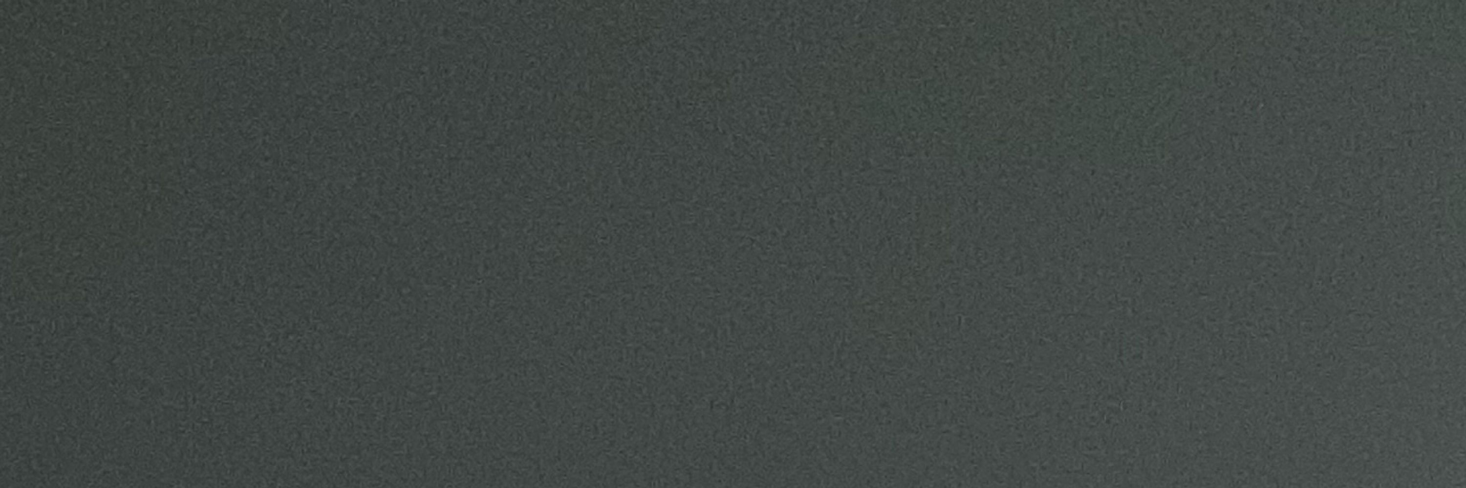 𓆟V