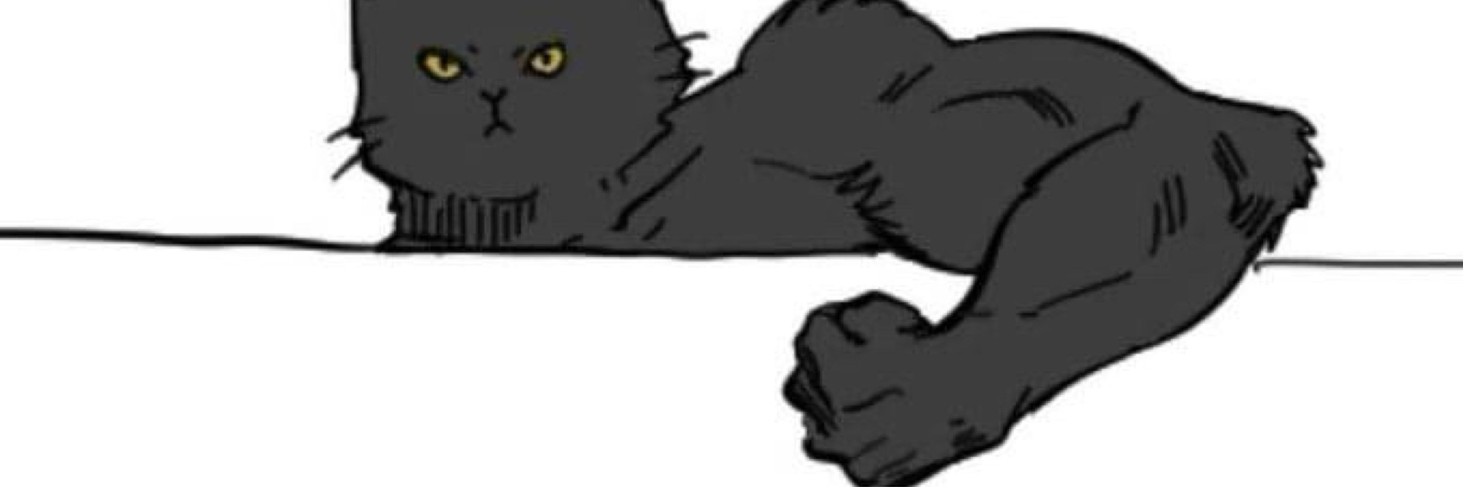 CAT 🦂✨
