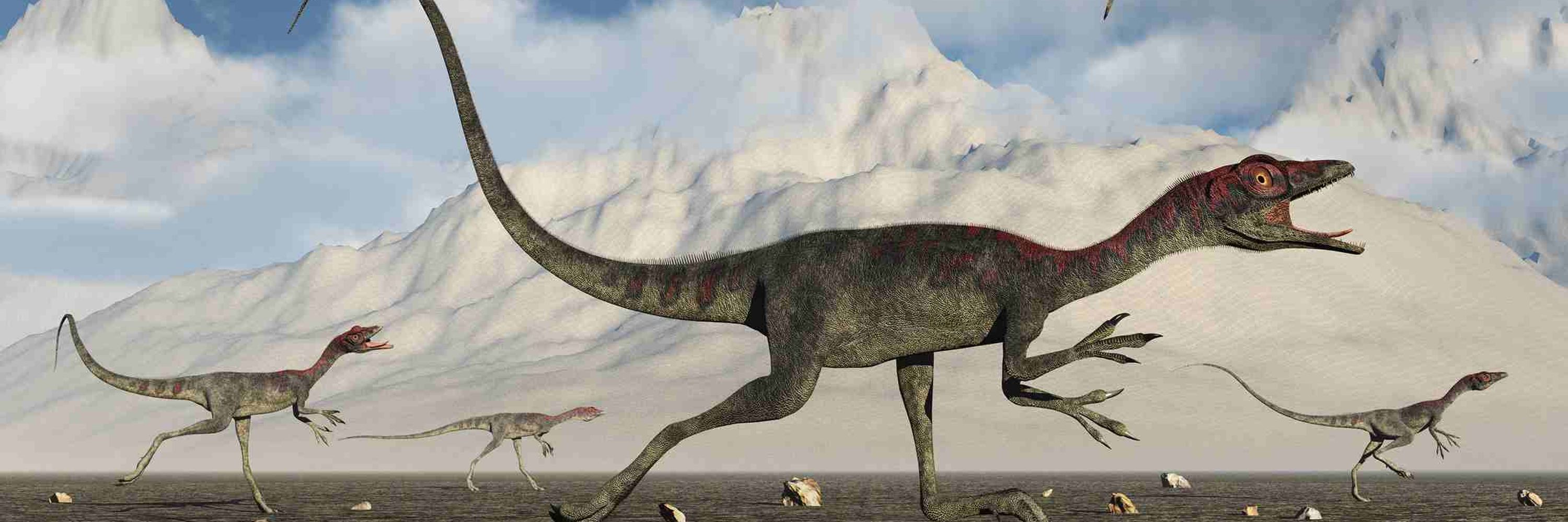 Comspognathus the Bold