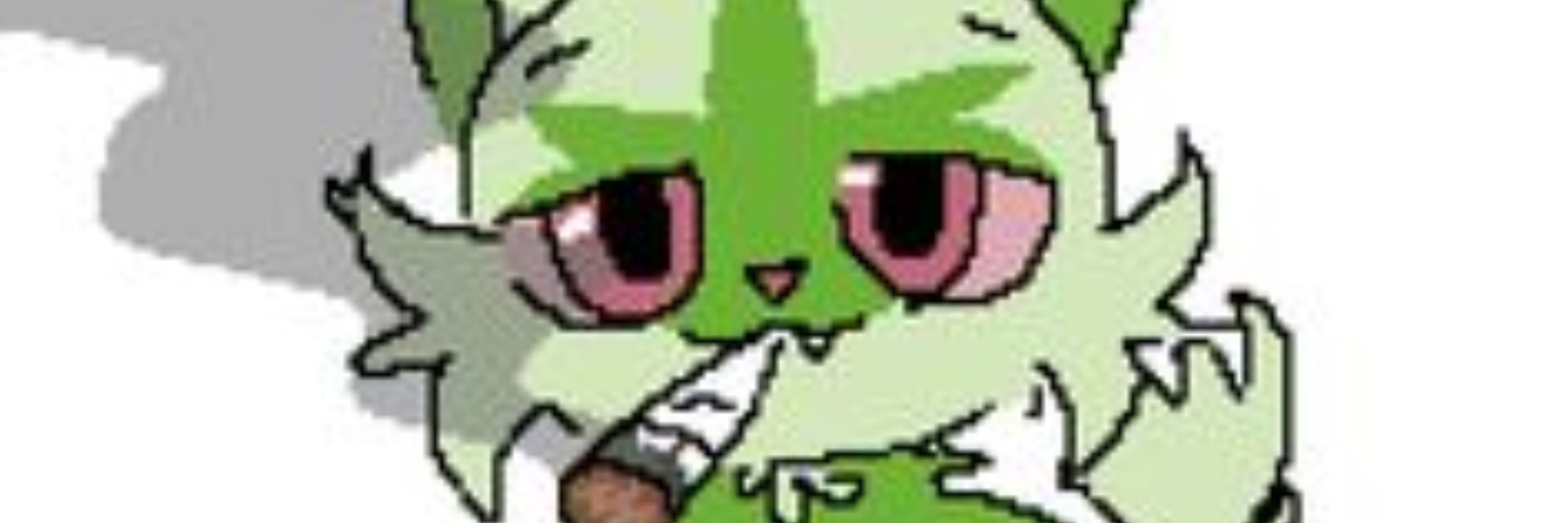 YehGuzma
