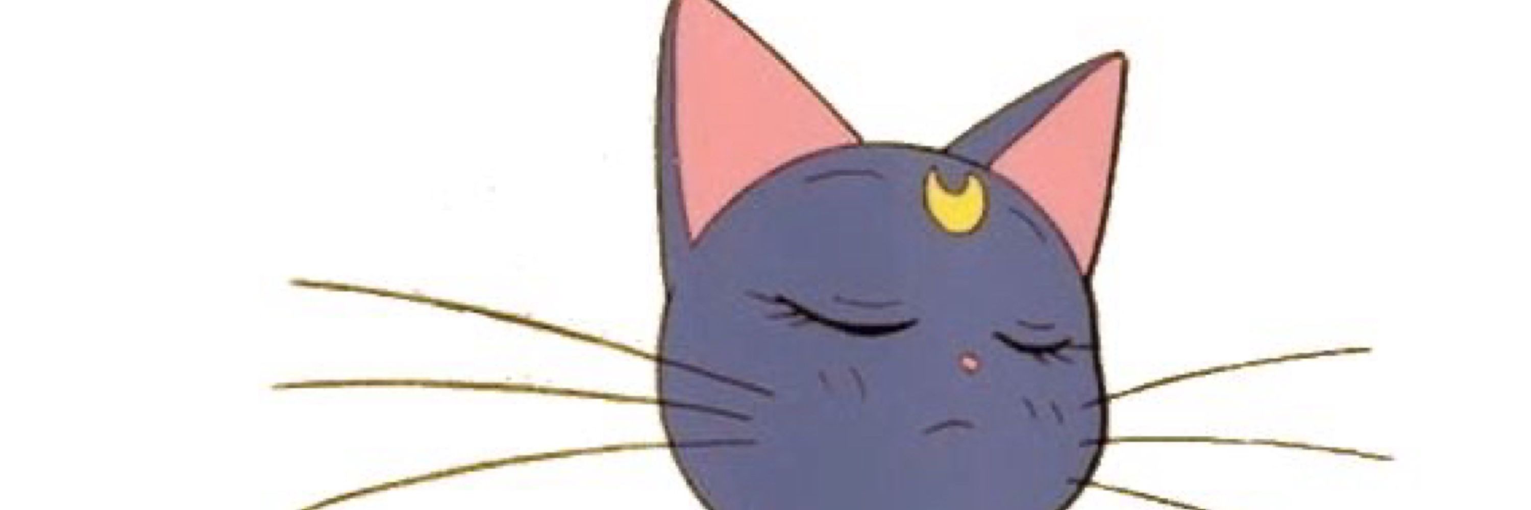 CoriiThicc