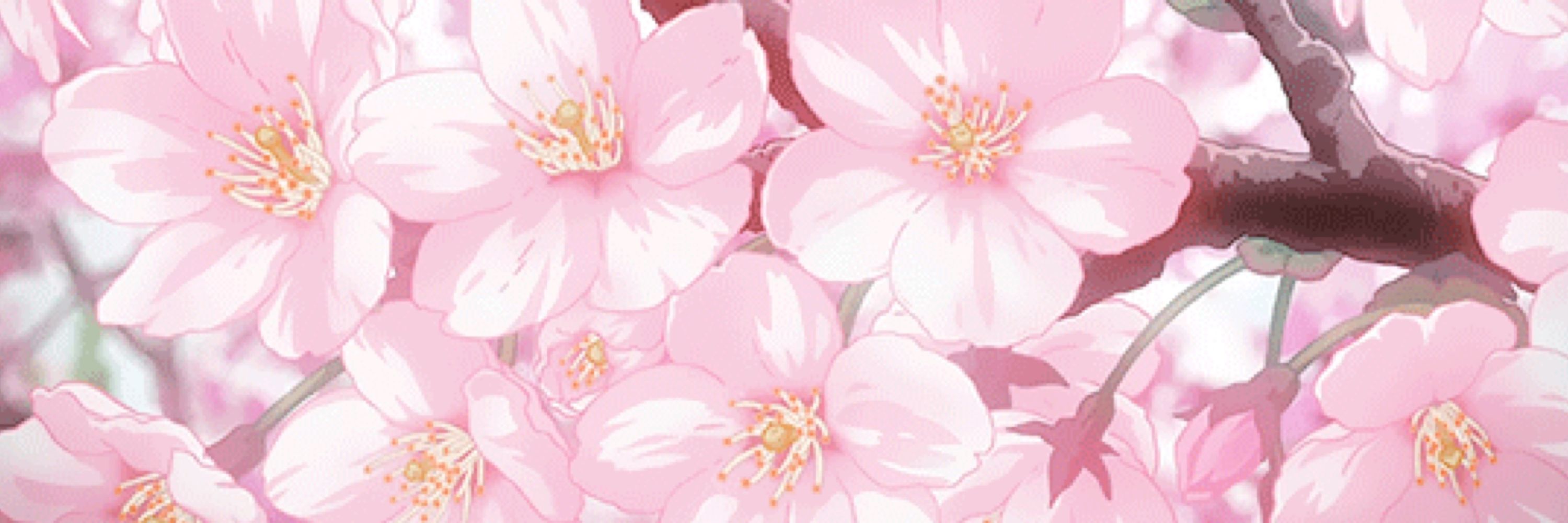 aster