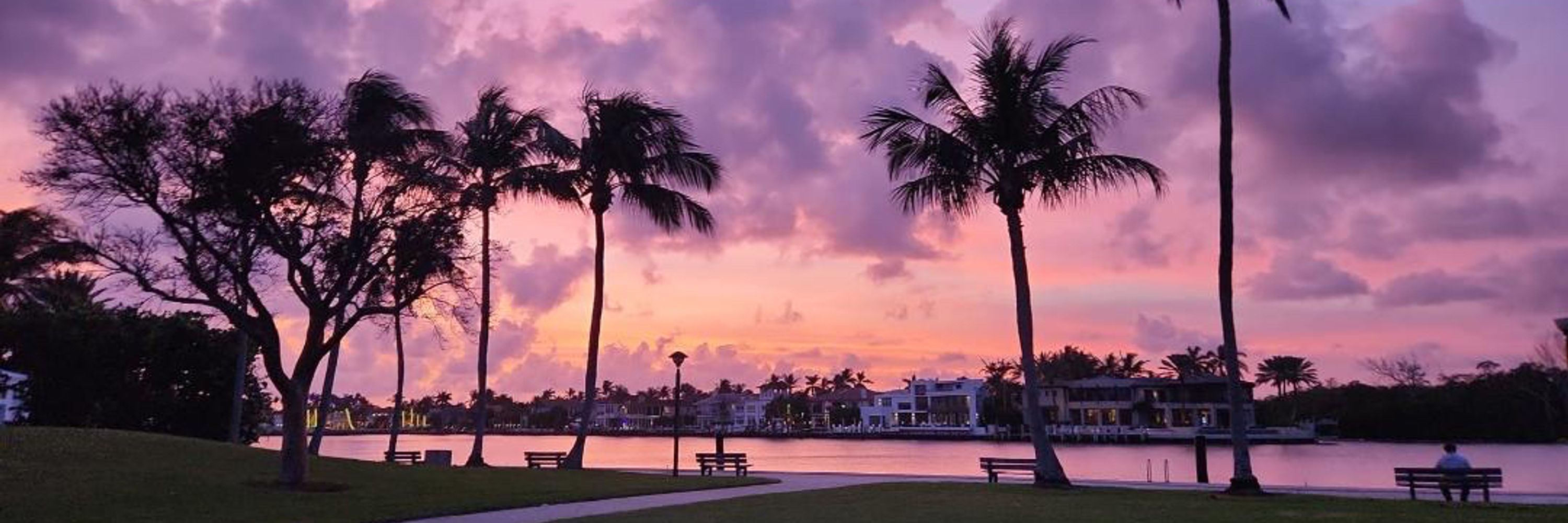 MsBlueFl 🏝️🐬🦎