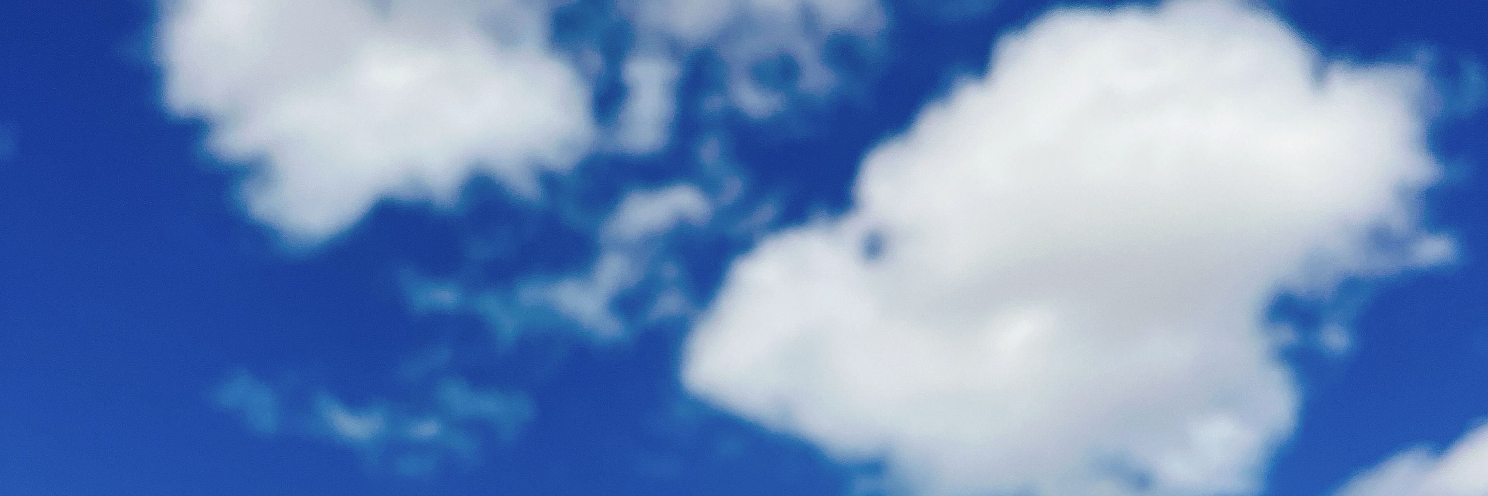 みゆ
