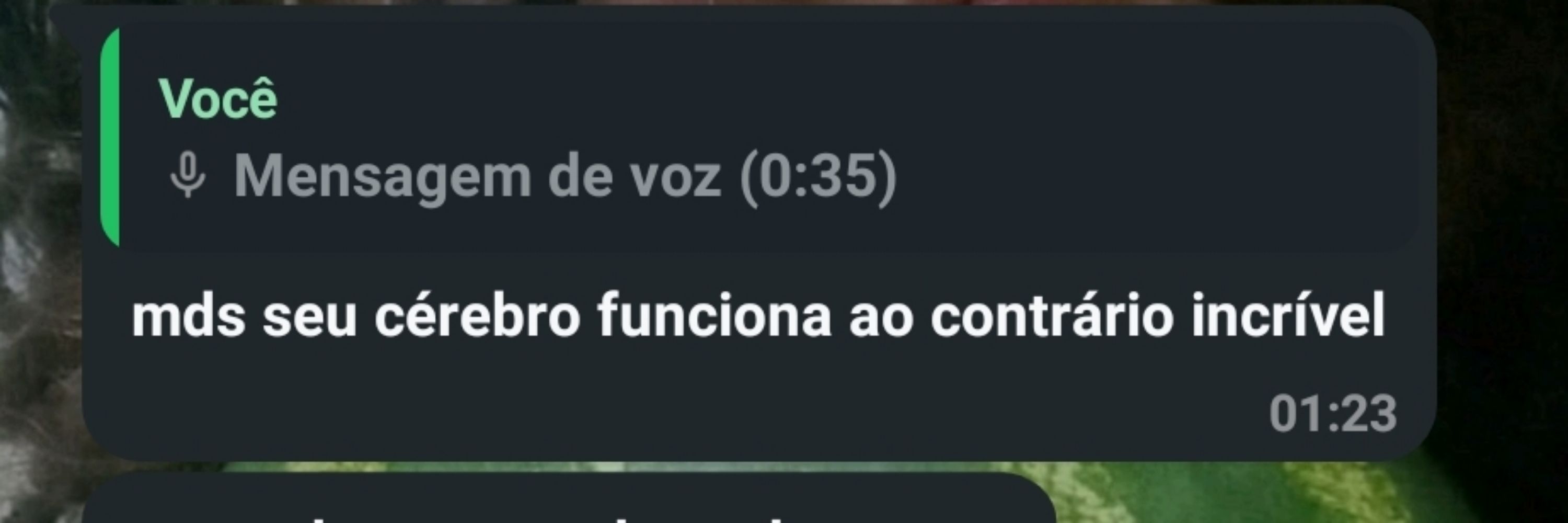 A Raposa com nome de Planeta