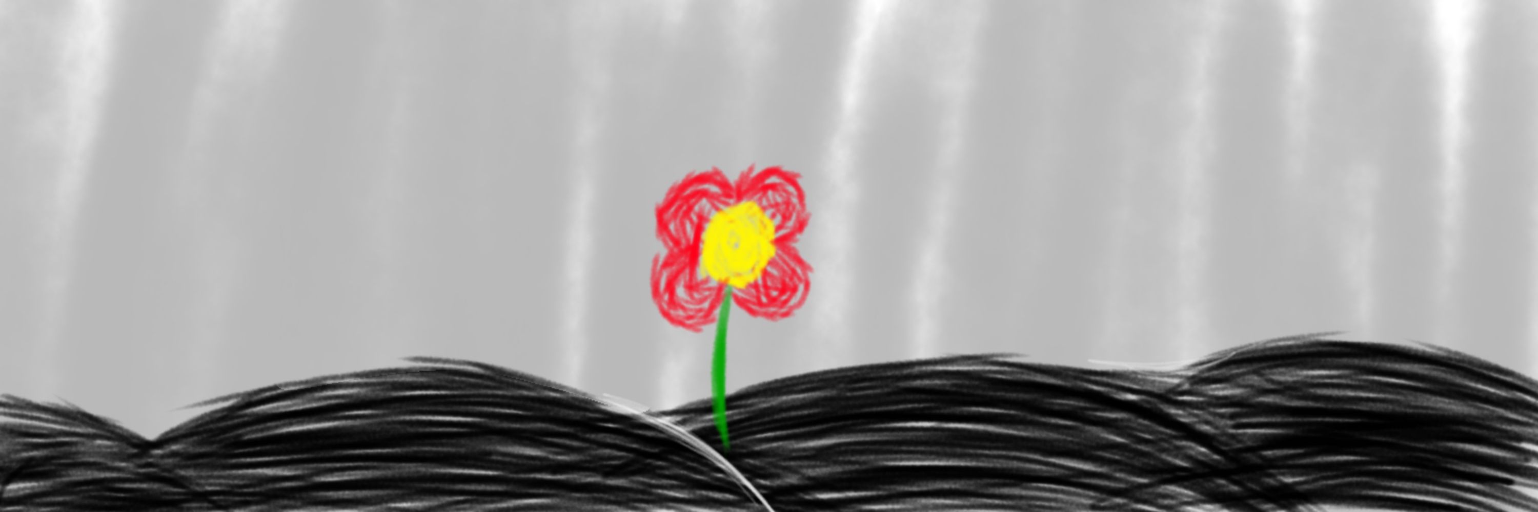 🟥Red flower🟥