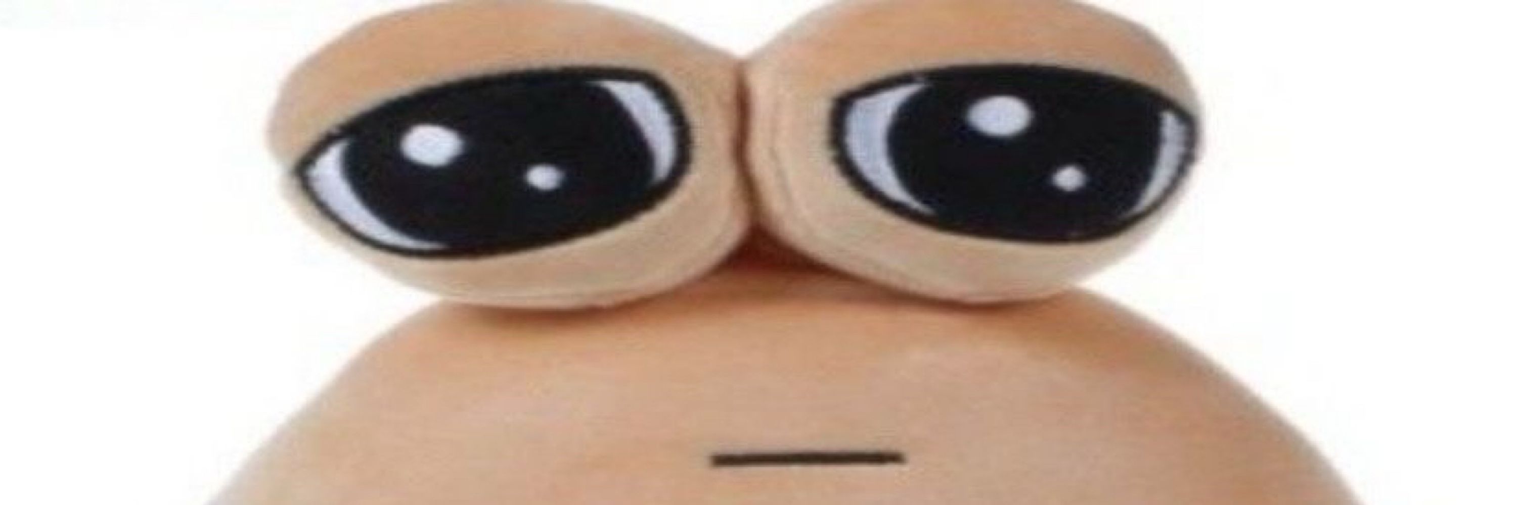 Isa.pingu
