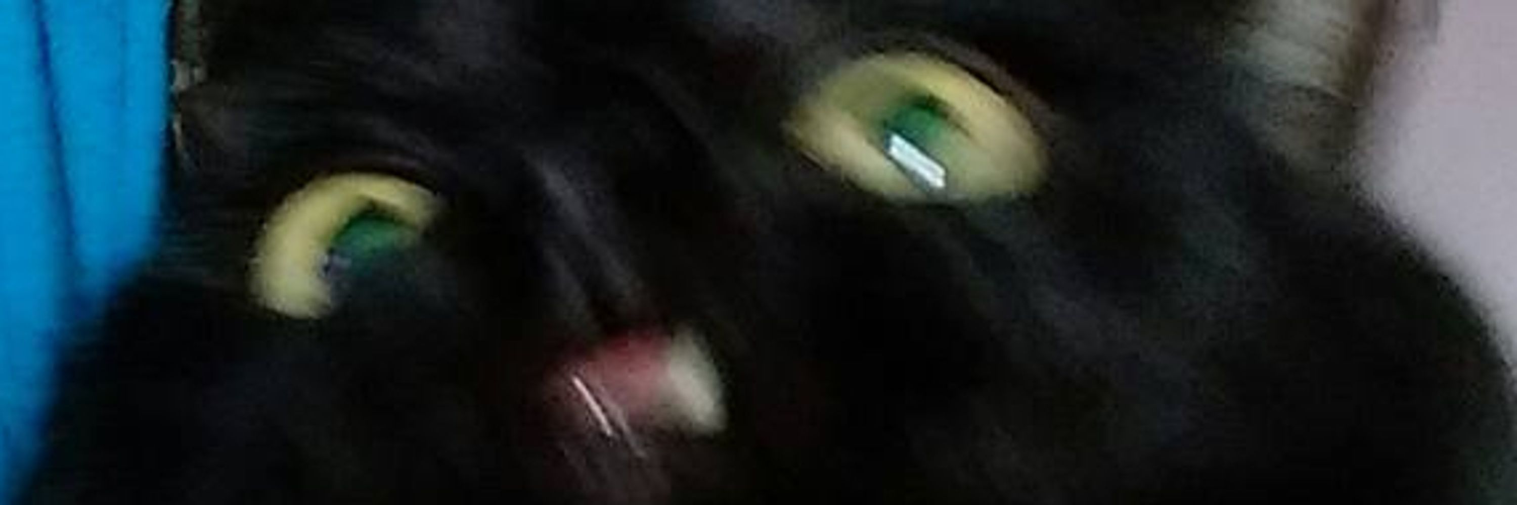 Fimi